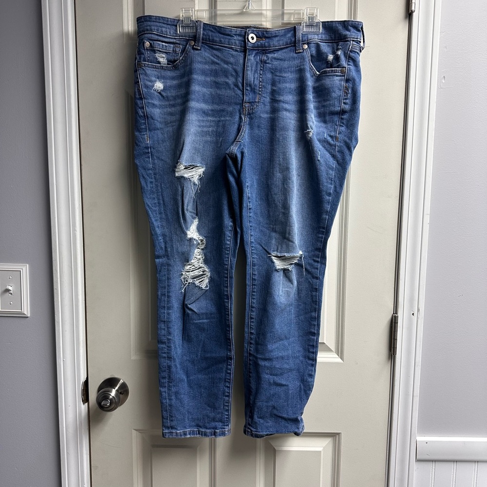 Torrid Blue Denim Jeans